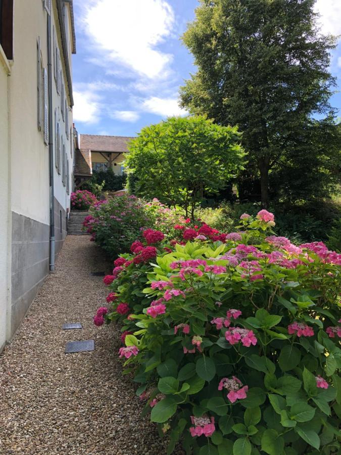 Chateau Saint Claude An Der Saone Mantoche Экстерьер фото